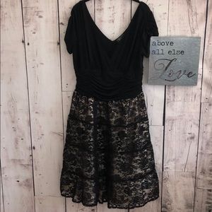 Dress Barn Collection 14 Short Sleeve Lace Dress